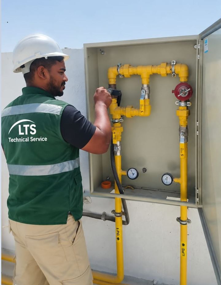 Gas meter & regulator cabinet
